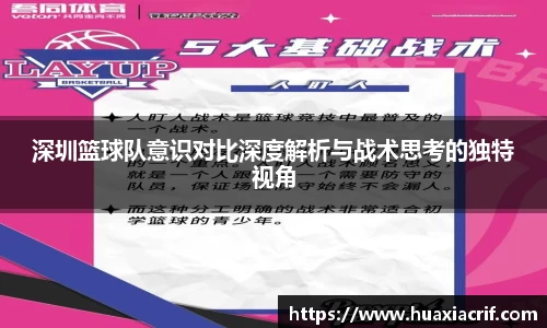 深圳篮球队意识对比深度解析与战术思考的独特视角